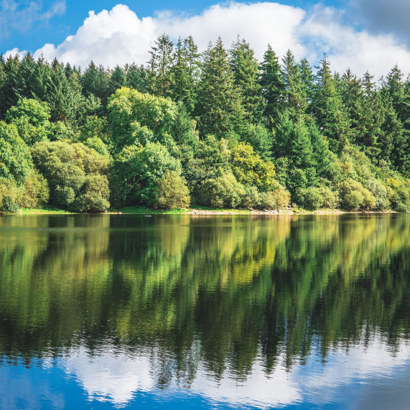 dartmoor-reflection