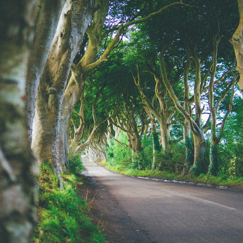 Northern Ireland