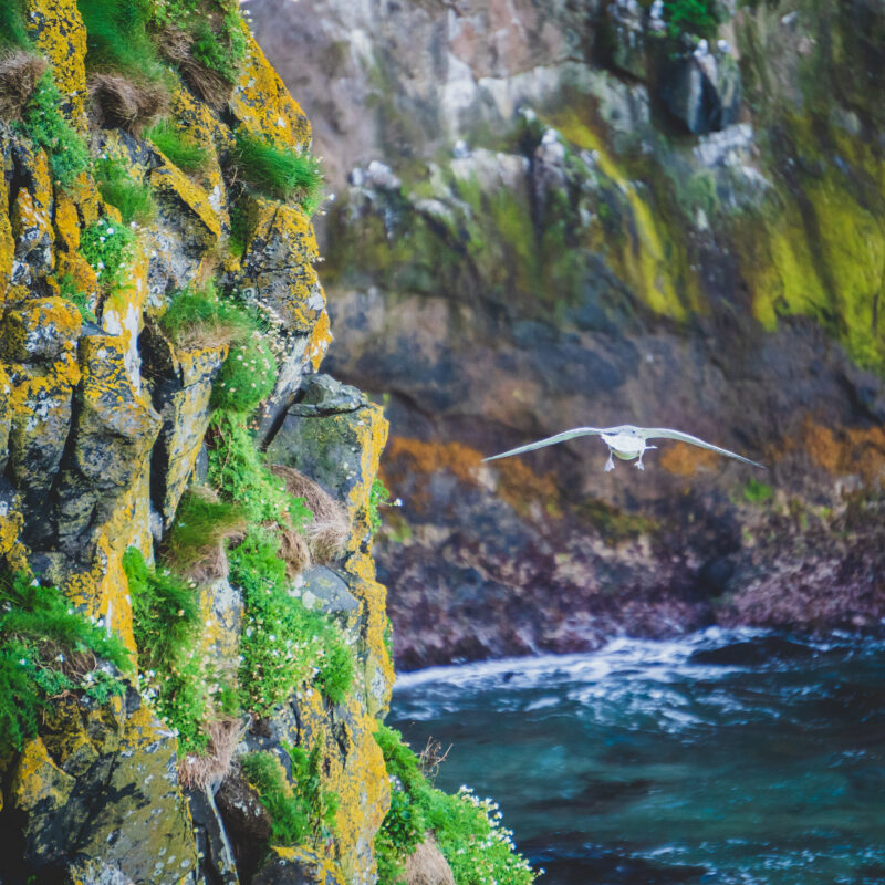 Northern Ireland