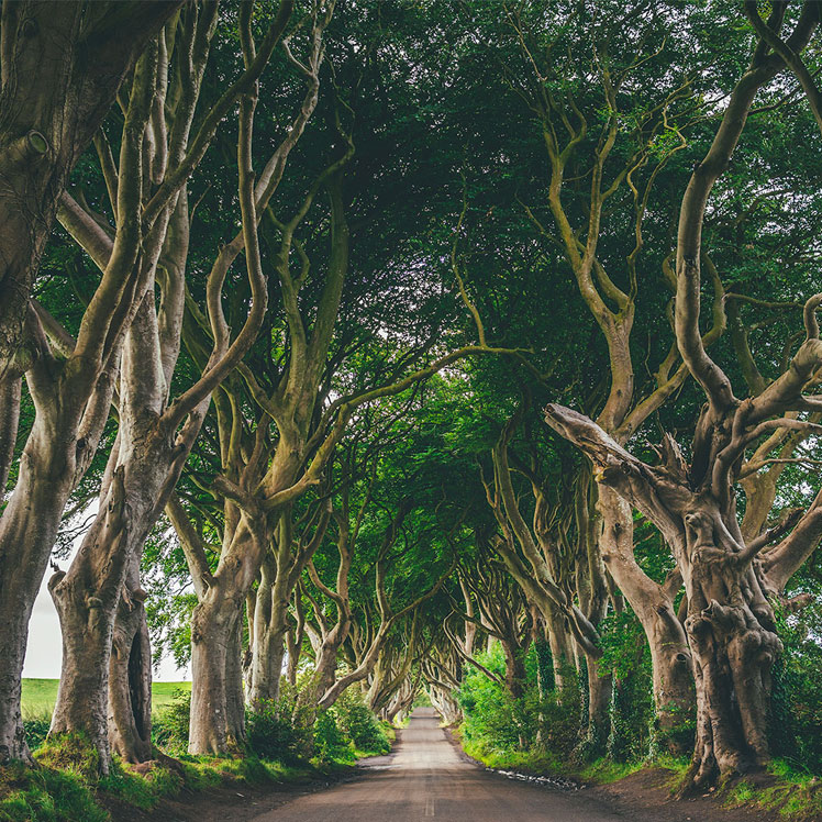 Northern Ireland
